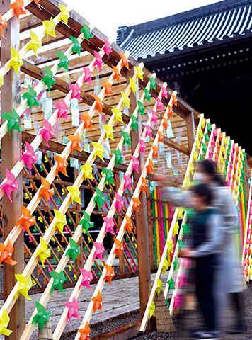 06 SEASON DECORATION